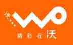 联通客户经理工作总结8篇