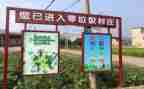 村垃圾分类活动方案5篇