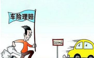 2024保险理赔工作总结8篇