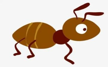 幼儿蚂蚁科学教案7篇