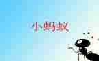 蚂蚁长蚂蚁短教案精选5篇