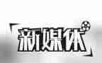 多媒体工作总结5篇