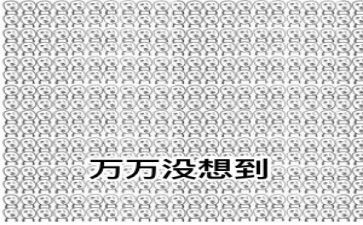 我没想到作文500字6篇