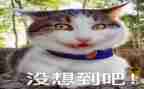 我没想到我如此懒了作文7篇