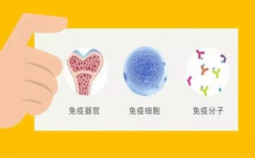 免疫科工作总结精选5篇