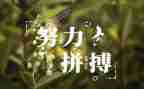 《名人传》的读后感400字模板7篇