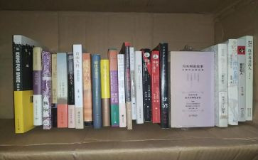 关于明星作文7篇