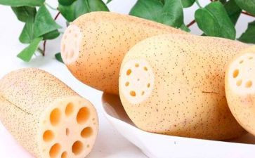 幼儿园关于藕的健康教案8篇