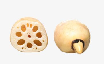 大班关于藕的教案参考6篇