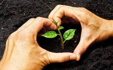 培养心得体会6篇