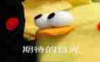 我期待的期待作文5篇