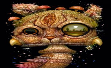 《奇幻森林》观后感推荐8篇