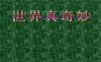 大自然真奇妙作文5篇