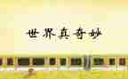 x的奇妙之旅读后感优质5篇