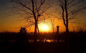 清晨的路作文6篇