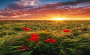 清晨的路作文通用6篇