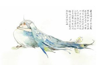 书青鸟读后感6篇