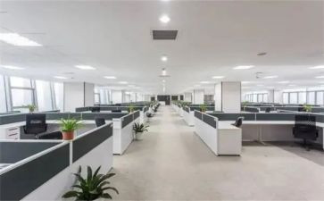 青校心得体会1000字最新5篇