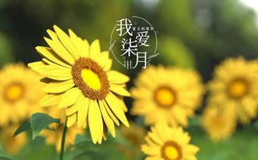 销售七月份工作总结7篇