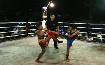 少年拳心得体会7篇