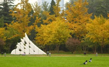 非全日制的劳动合同通用5篇