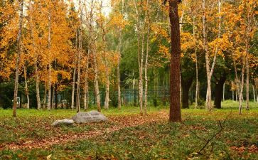 非全日制的劳动合同最新5篇