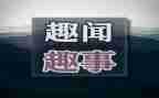 春节趣事300字作文5篇