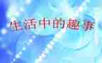 春节趣事初一作文5篇