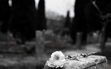 关于扫墓的作文优秀8篇