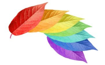 上色彩课心得6篇