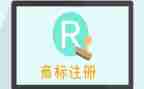 商标异议复审申请书5篇