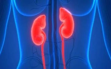 肾内科护士工作计划最新6篇