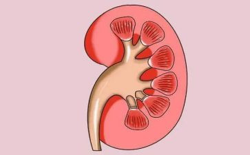 肾内科护士心得体会范文8篇