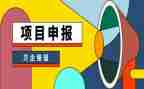 职称申报个人述职报告5篇