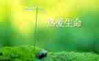 读生命水读后感8篇