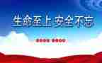 生命至上演讲稿8篇