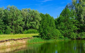 生态有关的作文6篇