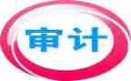 审计组的工作计划精选8篇