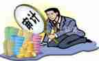 审计员述职报告范文8篇