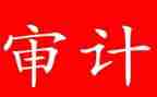 审计员年度述职报告7篇