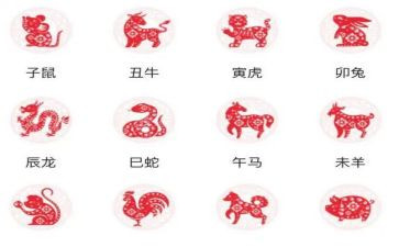 《十二生肖》教案优秀5篇