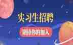 实习期工作总结推荐8篇