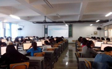 实训内容心得体会7篇