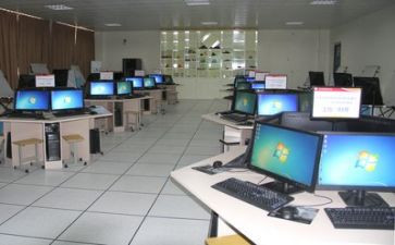 实训心得体会3000字5篇