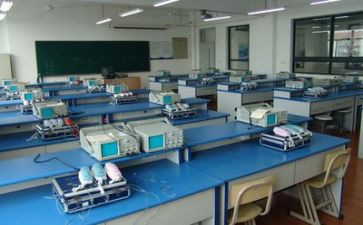 关于实训的心得体会范文8篇