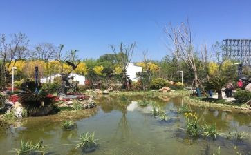 2024世园会志愿者心得体会7篇