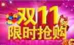 双11调查报告500字5篇
