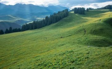 四月份中班月总结6篇