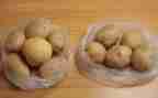 土豆作文400字5篇