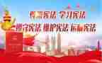 宪法卫士2024心得7篇